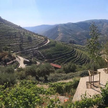 Quinta Das Fontainhas - Douro Valley Villa Tabuaço Esterno foto