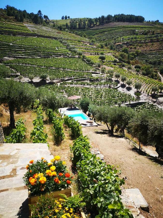 Quinta Das Fontainhas - Douro Valley Villa Tabuaço Esterno foto