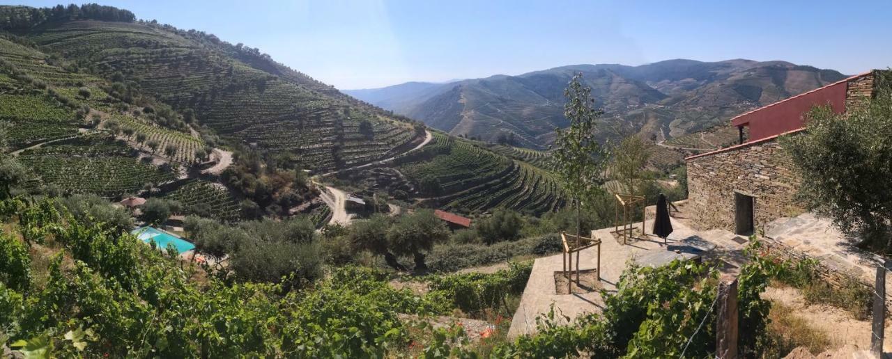 Quinta Das Fontainhas - Douro Valley Villa Tabuaço Esterno foto