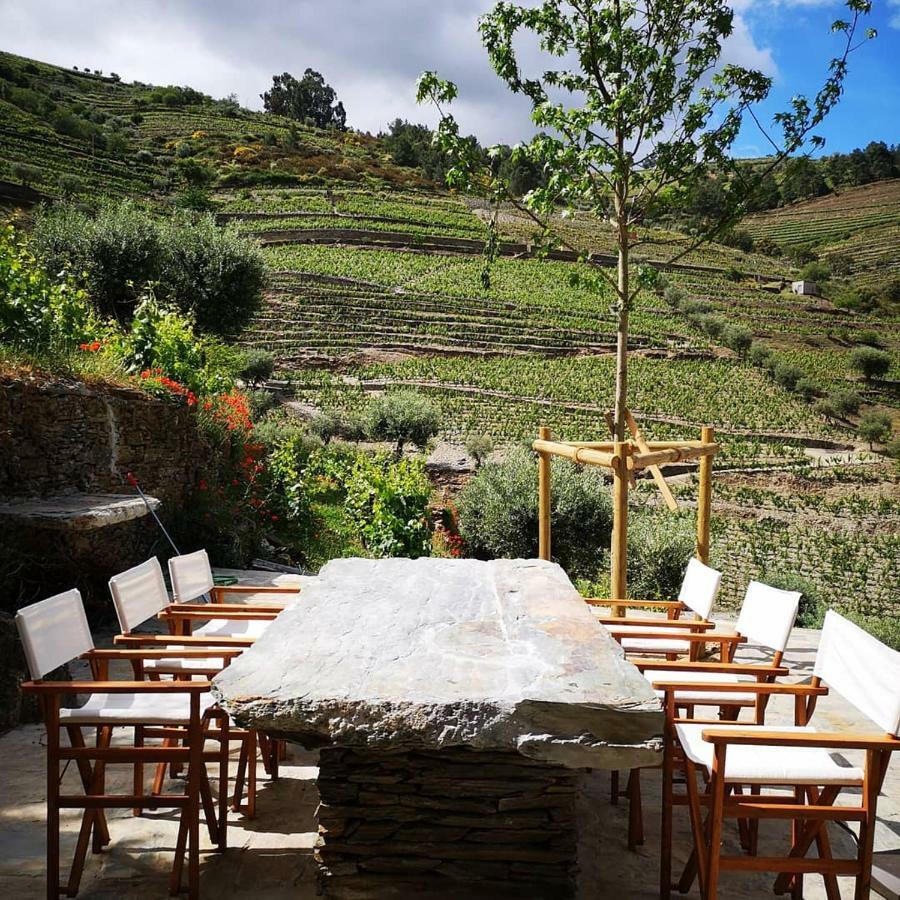 Quinta Das Fontainhas - Douro Valley Villa Tabuaço Esterno foto