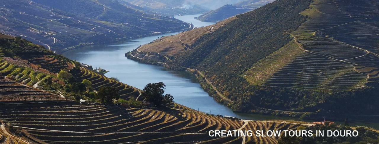 Quinta Das Fontainhas - Douro Valley Villa Tabuaço Esterno foto