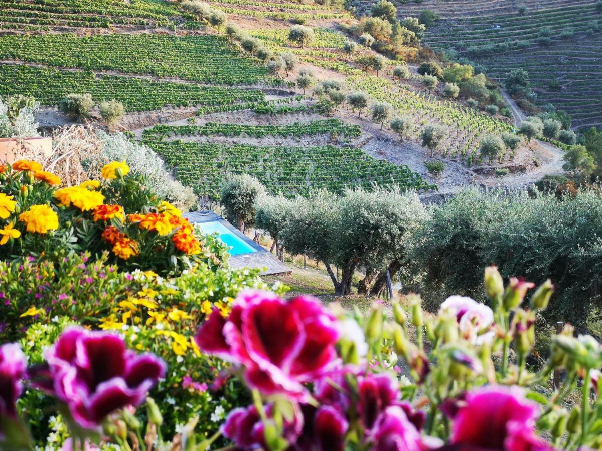 Quinta Das Fontainhas - Douro Valley Villa Tabuaço Esterno foto