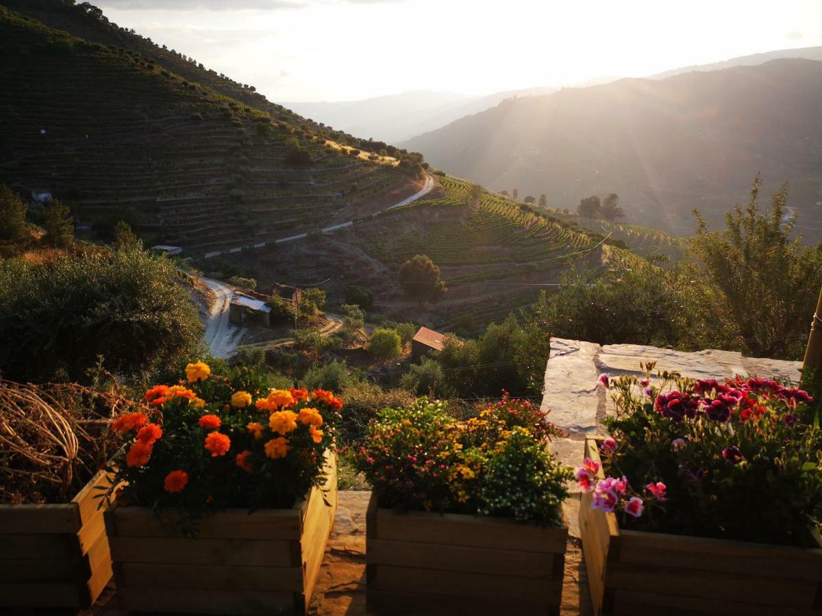 Quinta Das Fontainhas - Douro Valley Villa Tabuaço Esterno foto