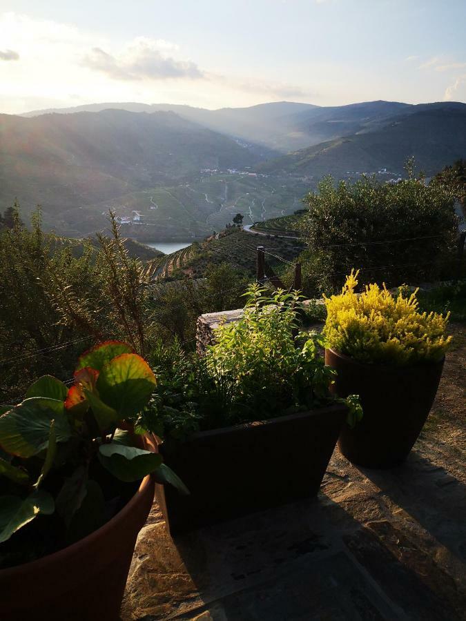Quinta Das Fontainhas - Douro Valley Villa Tabuaço Esterno foto